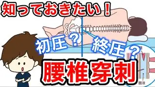 腰椎穿刺の目的や禁忌、看護について なぜ穿刺する場所が決まってるの？