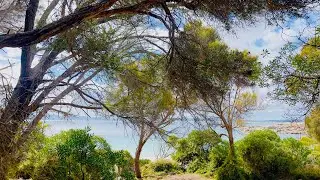 Flinders Island. Hidden island of Australia