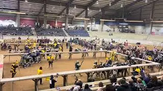 Order of Wakanda at Carolina Carnage 2025 - Round One
