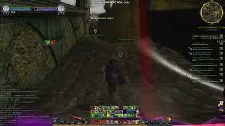 LotRO Captain in Southern Mirkwood: Dannenglor AGAIN