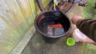 Cleaning a Brodie helmet