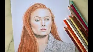 Drawing Sophie Turner | Sansa Stark | Lily Fee
