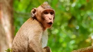 Mom stop feeding milk ! Poor boy JODY sit crying hungry alone with deep broken heart by no more mom
