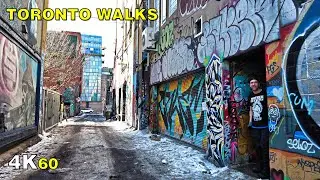Downtown Toronto Laneways & Street Art Walk on February 3, 2021