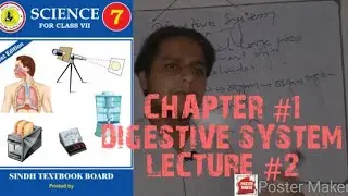 The digestive system |  chapter # 1 | organ system | lecture # 2 |  Sindh text book board | in urdu