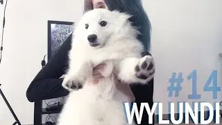 WYLUNDI #14 - Des poils sur des poils