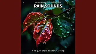 Mindfulness Audio