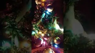 Collective Healing Meditation Transmission for the Planet