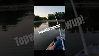 Topwater Bass Blowup At Dark! #bassfishing #topwater #kayakfishing #fishinglife #catchandrelease