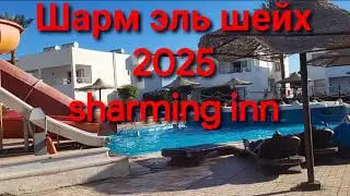 Шарм эль шейх 2025/sharming inn по новому