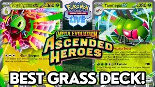 I made the best Grass deck on TCG Live!