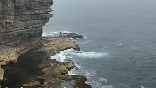 Sydney Harbour National Park 🇦🇺