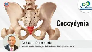 'Mankyache Dukhne Don't Worry' (मणक्याचे दुखणे डोन्ट वरी) I Chapter-5 I COCCYDYNIA I