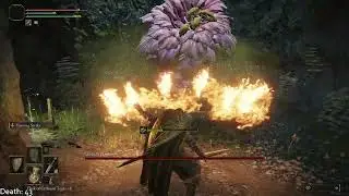ELDEN RING: The Easiest Boss in Game - Miranda the Blighted Bloom
