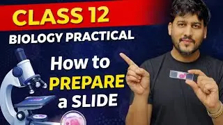 How to Prepare a Slide | Class 12 Biology Practical | Boards 2025-26