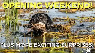 S3E3 Opening Weekend and Exciting Surprises! | Too Many Hobbies Podcast