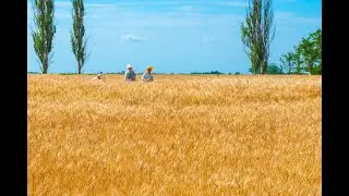 УКРАЇНСЬКЕ РЕГГІ   |  UKRAINIAN REGGAE SELECTION  |  Любов1