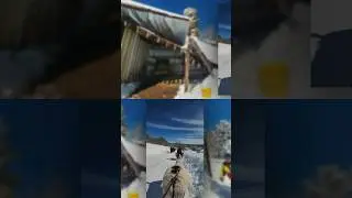 Donkeys rescued after 5 feet of snow falls in Colorado mountains
