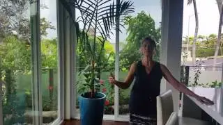 357 Lelekepue Place | Hawaii Loa Ridge | Amazing Views!