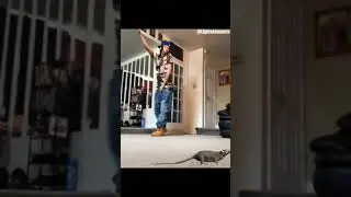 Oh shit a rat original