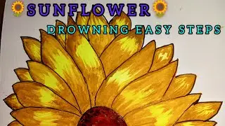 🌻 Sunflower drowning 🌻|| easy steps an easy drowning || colour painting 🎨🖌️