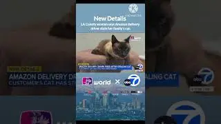 New Details : LA County woman says Amazon delivery driver stole her family's cat. #TTNWorld_TTD16