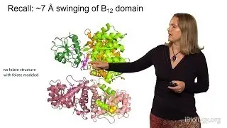 Catherine Drennan (MIT/HHMI) Part 3: Metalloproteins and the Environment