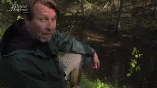 Näyttelija Martti Suosalo suoasialla