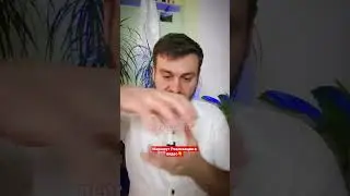 Нет денег? Пришло время передавать опыт - Стань Ментором! #ментор #деньги #психология #реализация