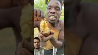 bushman incredible food #africanfood #hadzabetribe #bushman #animals #food #africa #eating #shorts