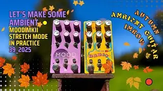 MOOD MKII Stretch Mode in Practice | Autumn Ambient Guitar Improv | 39_2025