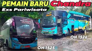 RIVIEW 2 UNIT PEMAIN BARU CHANDRA EXS PARIWISATA || MENGGUNAKAN CHASIS MB OH 1525 DAN OH 1526