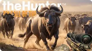The Safe Approach: Wildebeest Dzonga hunt.