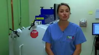 All About Pets - Bluegrass Veterinary Specialists