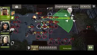 Хвачха. Раунд 79. TWD NML.