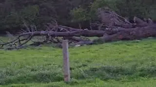 I appreciate that this might get as boring like lake videos, but I can never get enough of it.