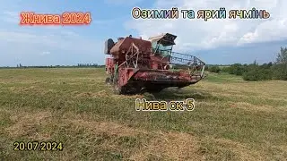 Жнива 2024🌾🔥 Озимий та ярий ячмінь‼️ Нива СК-5🔥 і Т-40АМ🔥