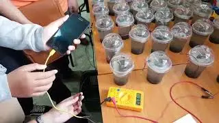 Biobattery 2017 for Engineering Expo 2017