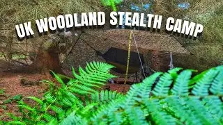 Solo woodland wild camping in the Northeast of England |Leave No Trace