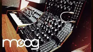 Lost Tides | Moog Subsequent 25, Moog Sound Studio (DFAM, Subharmonicon, Labyrinth)