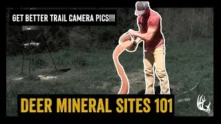 DEER MINERAL SITES 101 | GET BETTER TRAIL CAMERA PICS! | ADVANTAGE WHITETAIL