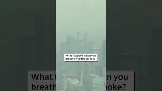 What happens when you breathe wildfire smoke? #shorts