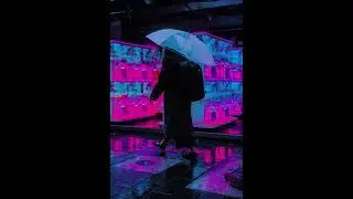 Evolutionary Steps - Dremmmo