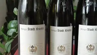 SUPERB Wine Tasting from Weingut Stadt Krems! #wine #winelovers #winetasting #kremstal