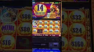 Massive Win on Dragon Train. Watching Full Video In My Channel  @JWslot555