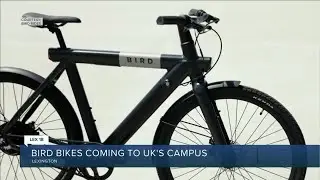 Bird Bikes coming to UK's campus
