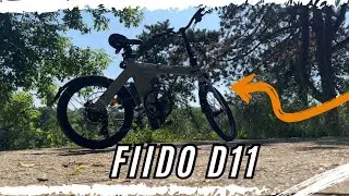 Bicicleta Familiei-  Fiido D11 2025