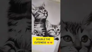 Cute Kitty Drawing | DrawArmi #shorts #art #artist #drawing #portrait #cat