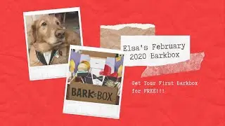 Barkbox February 2020 - Get a FREE Barkbox with Referral Link + Code!!!!