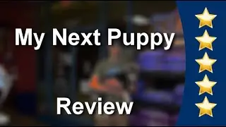 My Next Puppy Reviews - Dogs For Sale